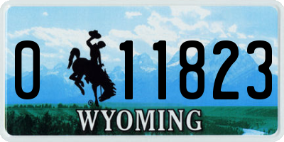 WY license plate 011823