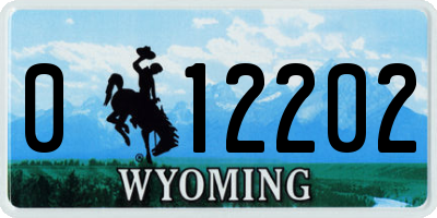 WY license plate 012202