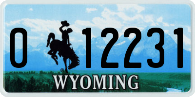 WY license plate 012231