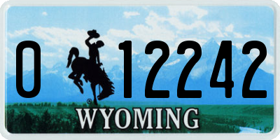 WY license plate 012242