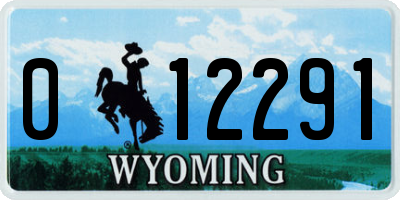 WY license plate 012291