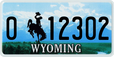 WY license plate 012302