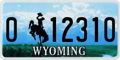 WY license plate 012310