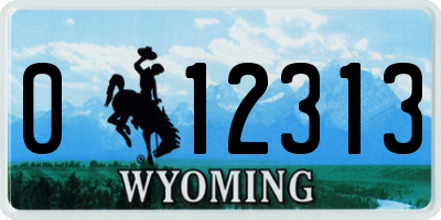 WY license plate 012313