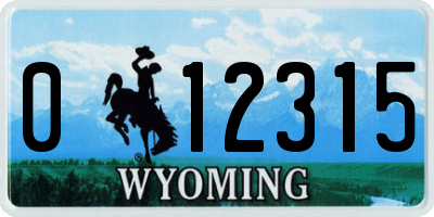 WY license plate 012315