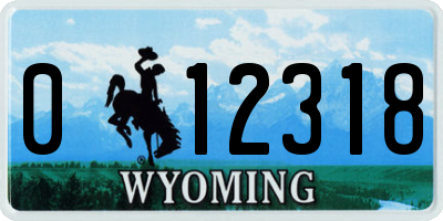 WY license plate 012318