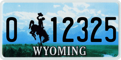 WY license plate 012325
