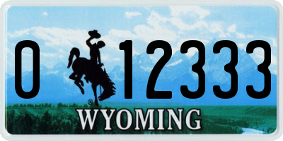 WY license plate 012333