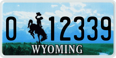 WY license plate 012339