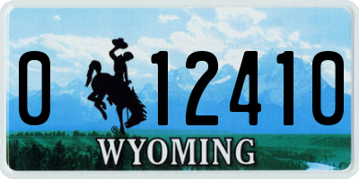 WY license plate 012410