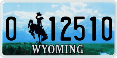 WY license plate 012510