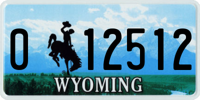WY license plate 012512