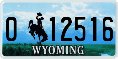 WY license plate 012516