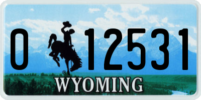 WY license plate 012531