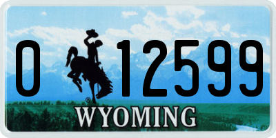 WY license plate 012599