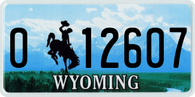 WY license plate 012607