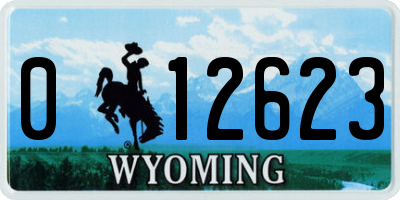 WY license plate 012623