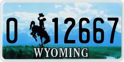 WY license plate 012667