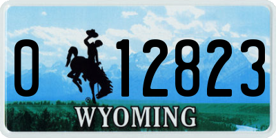 WY license plate 012823