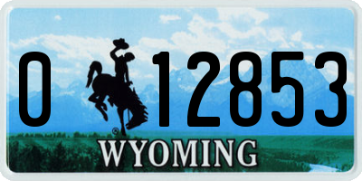 WY license plate 012853