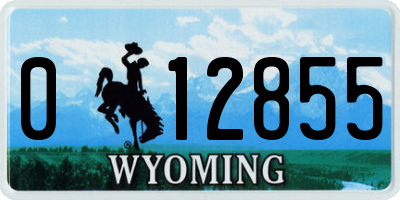 WY license plate 012855