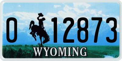 WY license plate 012873