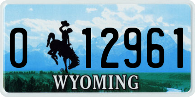 WY license plate 012961