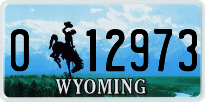 WY license plate 012973