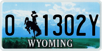 WY license plate 01302Y