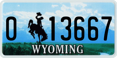 WY license plate 013667
