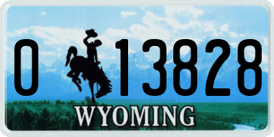 WY license plate 013828