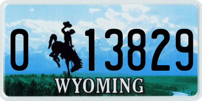 WY license plate 013829