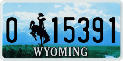 WY license plate 015391