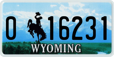 WY license plate 016231