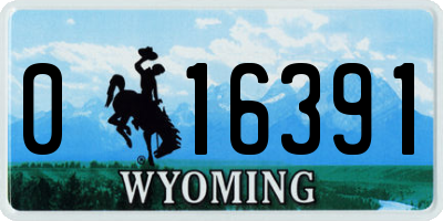 WY license plate 016391