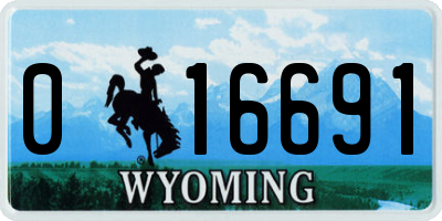 WY license plate 016691