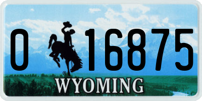 WY license plate 016875