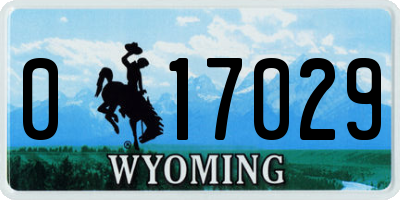 WY license plate 017029