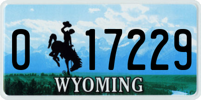 WY license plate 017229