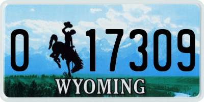 WY license plate 017309