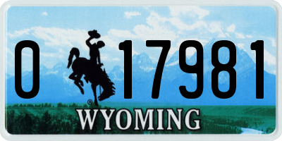 WY license plate 017981