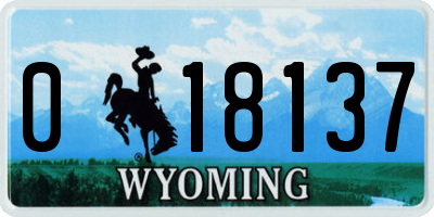 WY license plate 018137