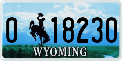 WY license plate 018230