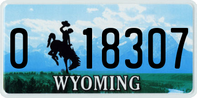 WY license plate 018307