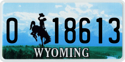 WY license plate 018613
