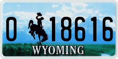 WY license plate 018616