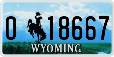 WY license plate 018667
