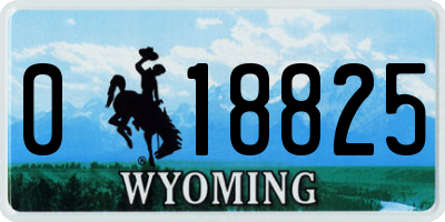 WY license plate 018825