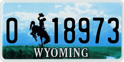 WY license plate 018973