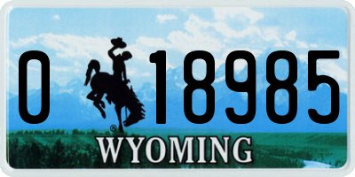 WY license plate 018985